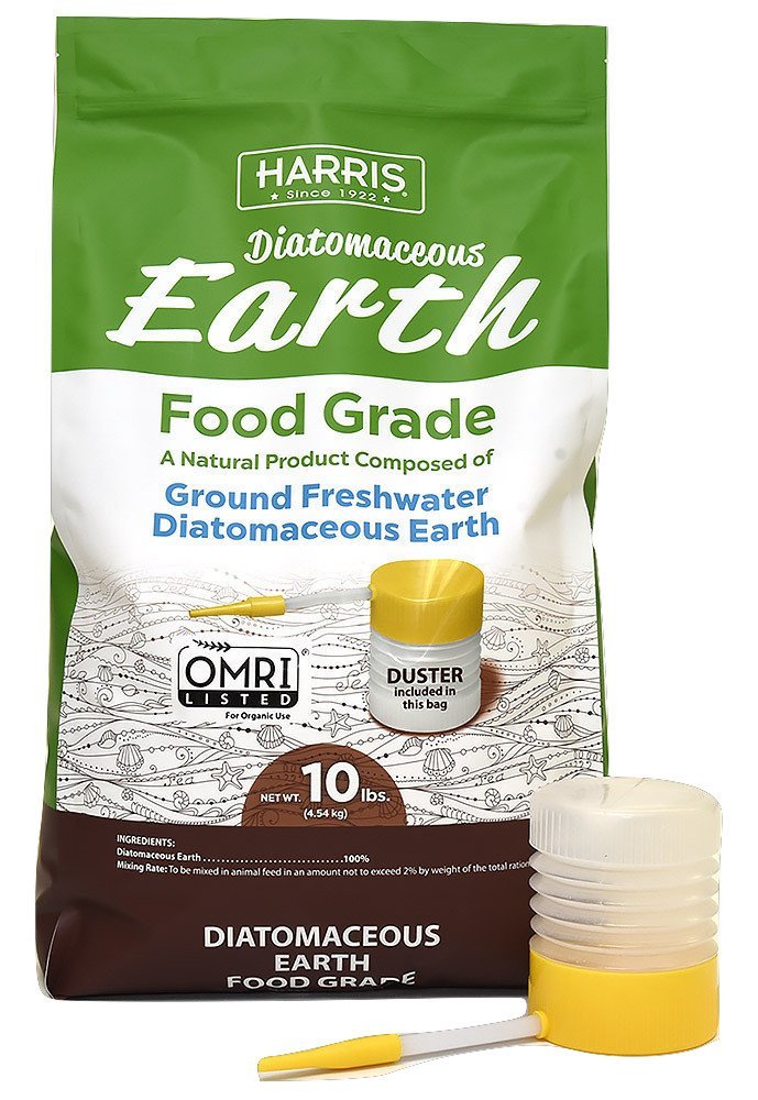 Ranking The Best Diatomaceous Earth Supplements Of 2021 Body Nutrition