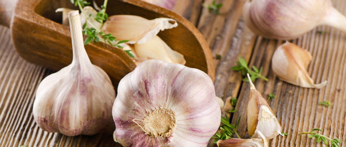 best garlic supplements