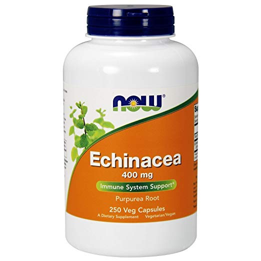 Ranking the best echinacea supplements of 2021 - Body Nutrition