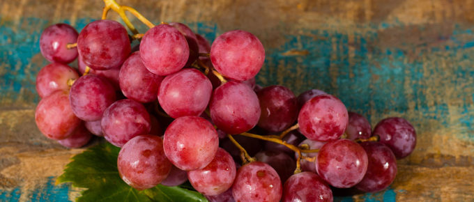 Ranking the best resveratrol supplements of 2021