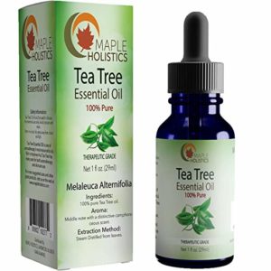 Ranking the best tea tree oil of 2021