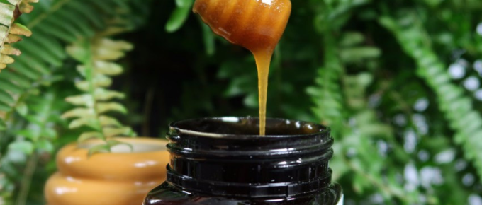 best manuka honey