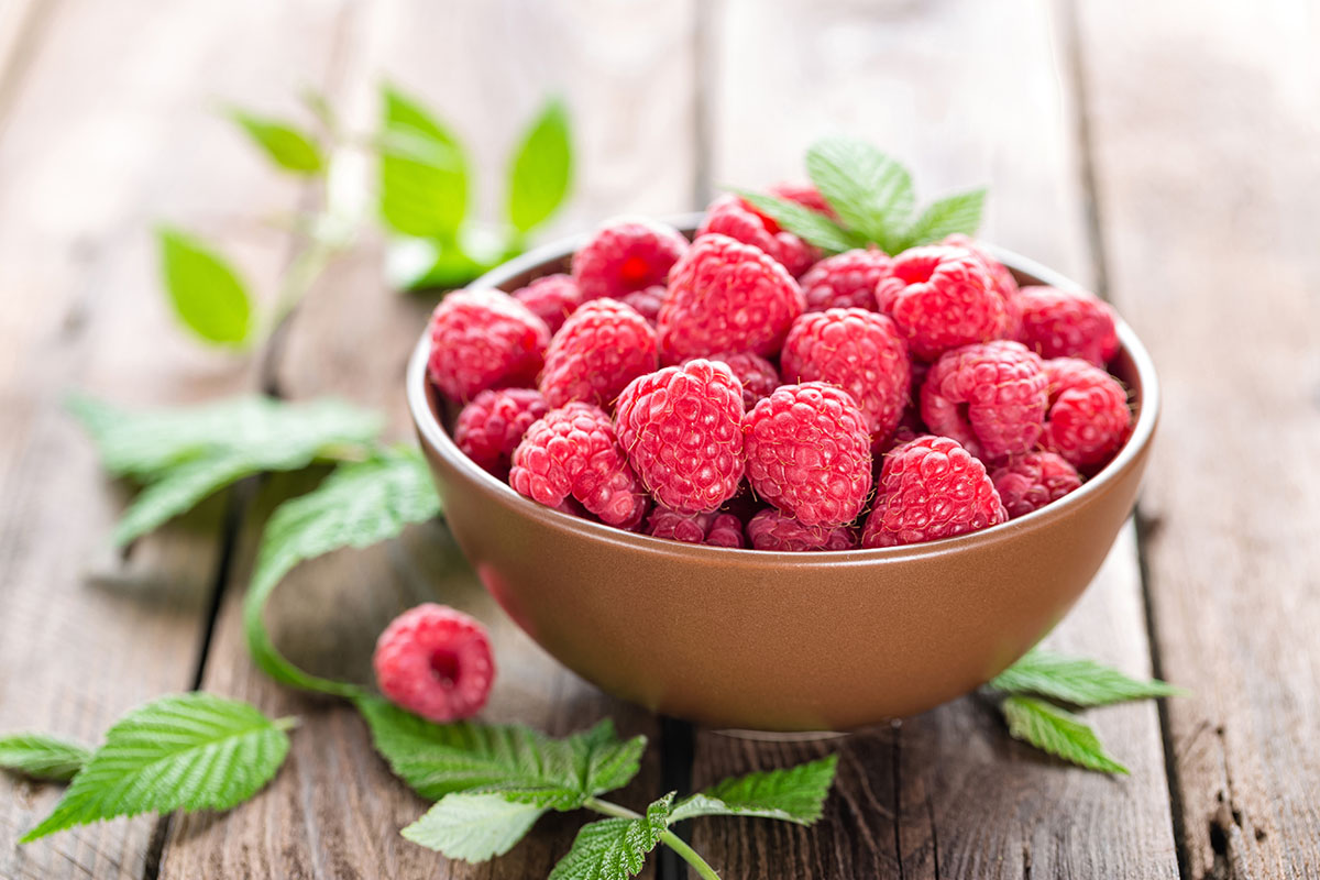 Ranking the best raspberry ketone supplements of 2021 - BodyNutrition