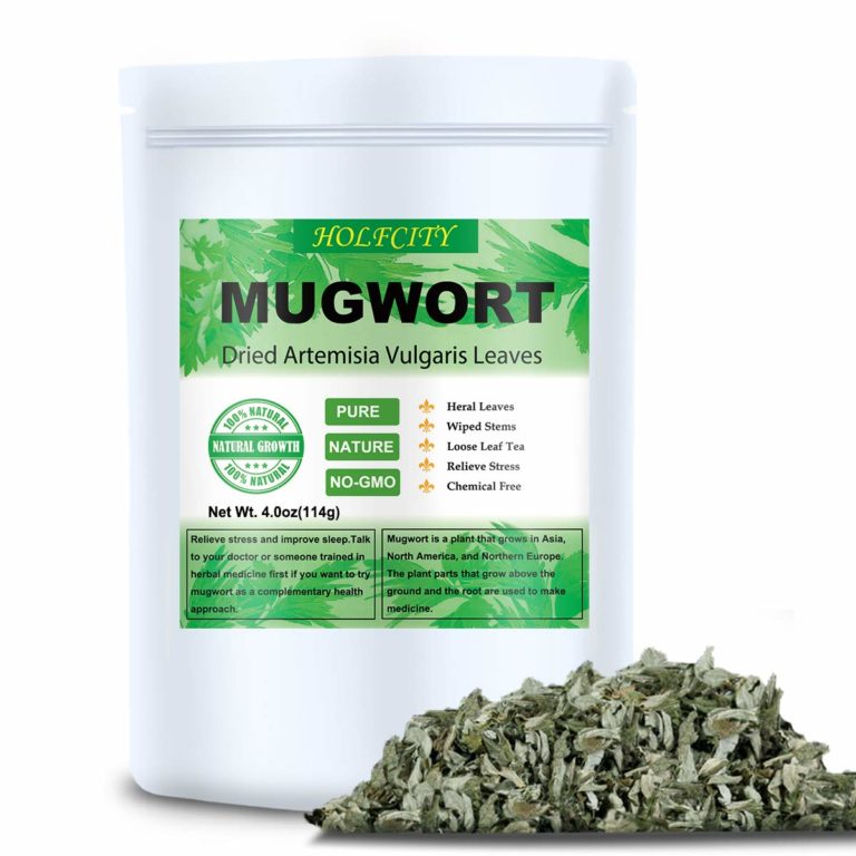 Ranking the best mugwort of 2022 - Body Nutrition